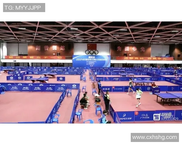 深圳乒乓球队比赛经验引发热议球迷对战术选择和训练方法展开激烈讨论