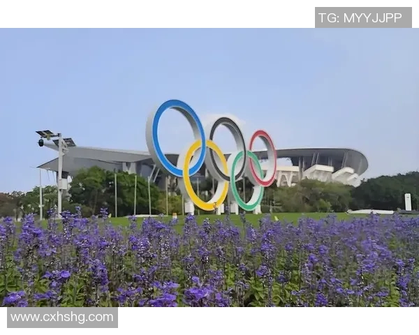 深圳网球队耐力表现数据分析与训练策略探讨