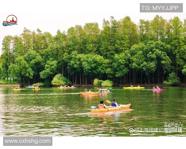 广州飞盘队力量表现数据分析揭示运动员潜力与团队协作的关键因素