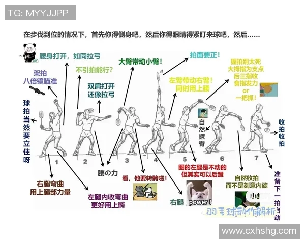 深圳羽毛球队整体压制战术解析与实战应用探讨