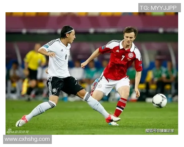 芬兰足球明星利的传奇之路与对国家队的贡献解析