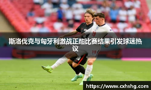 斯洛伐克与匈牙利激战正酣比赛结果引发球迷热议